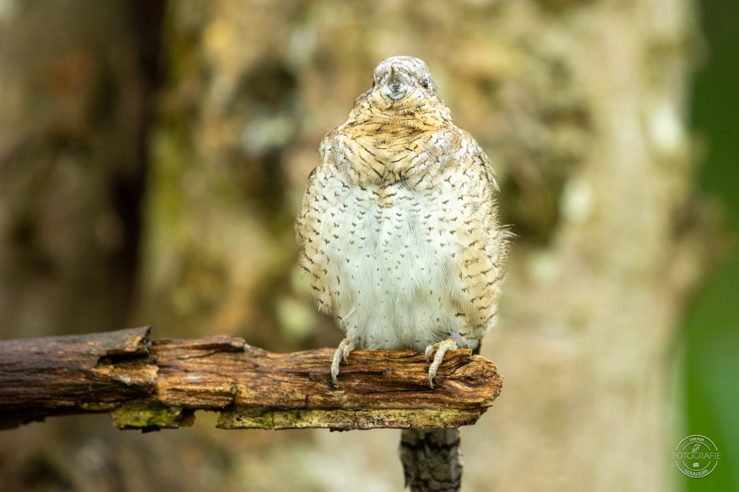 31 maart 2023 142530  R2A7633